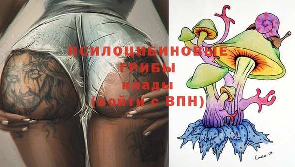 PSILOCYBIN Бронницы
