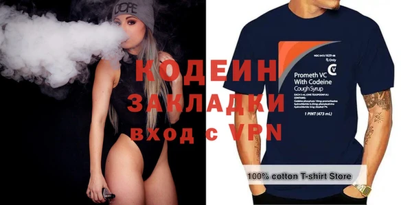 ГАЛЛЮЦИНОГЕННЫЕ ГРИБЫ Богданович