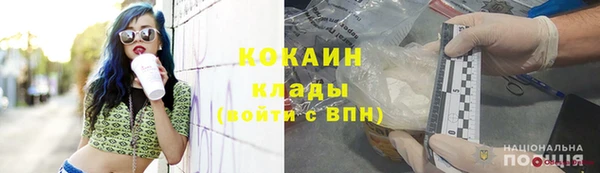 ГАЛЛЮЦИНОГЕННЫЕ ГРИБЫ Богданович