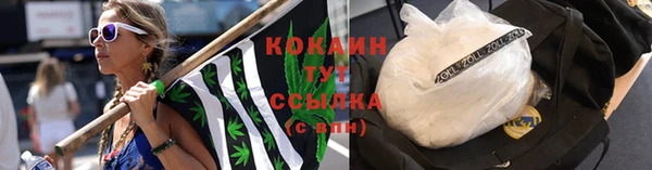 стаф Бугульма
