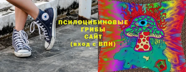 PSILOCYBIN Бронницы