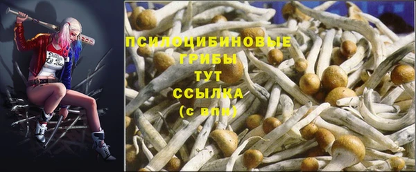прущий лед Верхний Тагил