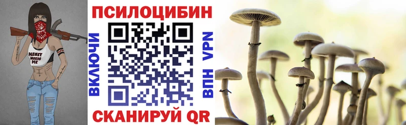 Псилоцибиновые грибы прущие грибы  Купить  Зеленогорск 